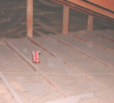 Poor Insulation - Exposed 2x4 framing