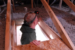 Loren-entering-attic-to-inspect