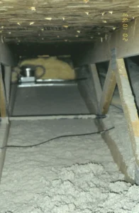 Blown insulation taper to bare sheetrock